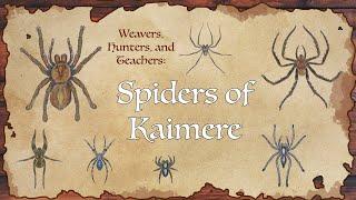 Weavers, Hunters, and Teachers: Spiders of Kaimere