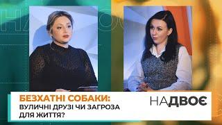 «НАДВОЄ». Безхатні собаки: вуличні друзі чи загроза для життя?