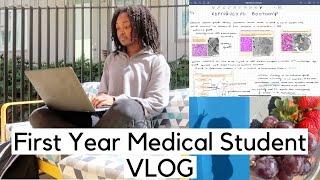 Day in the Life of a Medical Student | first year, studying, reproductive system