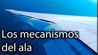 ¿Cómo controlamos el vuelo? Todo sobre el ala