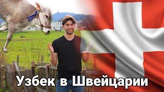 Швейцария: цены, беженцы, машины, жизнь | Узбек в Швейцарии | Жизнь в лучшей стране