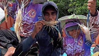 Episode 1 | Mancing Udang Galah Sungai Jembayan, Sungai Mahakam