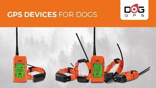 GPS tracking devices for dogs | Dogtrace