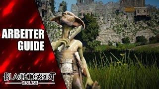 Arbeiter, Knotenpunkte und Housing Basics - Black Desert Tutorial