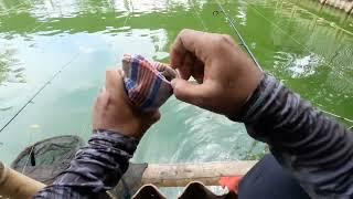 MANCING DI AWAL TAHUN 2025||ADA PRESTASINYA || MM#07 #2025 #video #mancing #empang #ikanemas #lomba