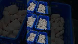 Tapioca Export | The Hunt Begins | Nextupglobal #export #entrepreneur #import #business #business