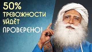 Одна простая вещь, которая снизит 50% тревожности - Садхгуру на Русском