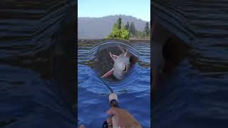 Fishing with ultralight spinning. Fishing with spinnersRF4 short #shorts #fishing #gaming