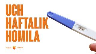 3 haftalik homila | FARZANDIM