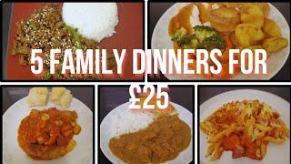 5 meals for £25 from Tesco | Easy budget family meals | Cheap dinners 2024 UK