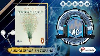 el infinito en un junco (audiolibros) de irene vallejo