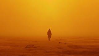 The Cinematography of Blade Runner: 2049 (Film Edit)