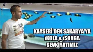 Fishland Akvaryum Sakarya'ya İkola ve İsonga Teslimatımız.