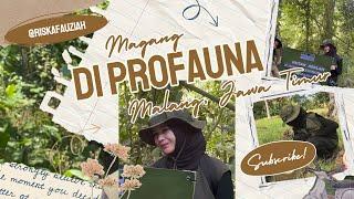 Rekomendasi Tempat Magang Mahasiswa di “PROFAUNA” Malang, Jawa Timur