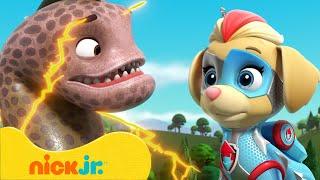 Patrulha Canina | Poderosos Filhotes Contra Animais Gigantes! | Nick Jr. em Português