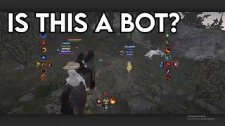 BDO - IS THIS A BOT? | Black Desert Highlights