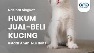 Hukum Jual-Beli Kucing | Ustadz Ammi Nur Baits