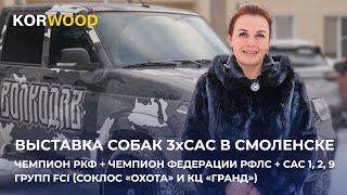 KORWOOD | Выставка собак 3хСАС в Смоленске (2024)