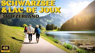 Spring in Switzerland  Walking Tour 4K Schwarzsee & Lac de Joux