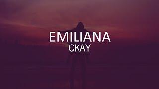 Ckay -- Emiliana (Video Lyrics)|All because of you I be on the phone all night long