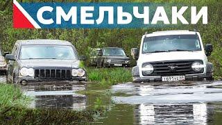 ГОРОДСКИЕ ВЛИПЛИ... TANK 300, Jeep Cherokee, Range Rover, Nissan X-Trail, SsangYong бездорожье 2024