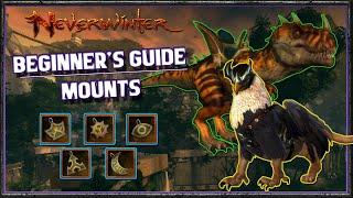 Neverwinter | Beginner's Guide: Mounts