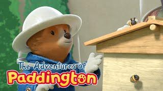 Paddington | Paddington Saves the Bees  | Shows for Kids