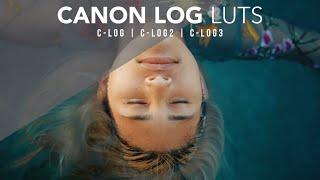 Canon C-Log LUTs - How to Color Grade in Premiere Pro and DaVinci Resolve