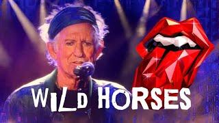 The Rolling Stones -Wild Horses- LIVE in Seattle 5-15-24
