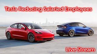 Tesla Cutting Employees, Why? Weekly Tesla News Update.