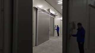 electric and automatic cold room door