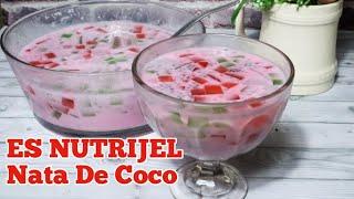 ES NUTRIJEL nata De coco