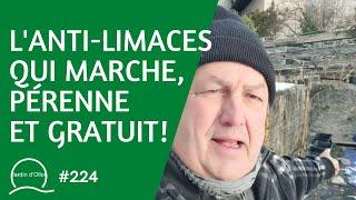 #224-L'anti-limace qui marche, pérenne et gratuit 