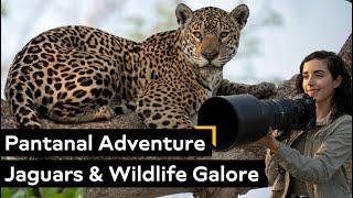 Exploring the Pantanal: Home of Jaguars, Caimans & the World’s Largest Wetland