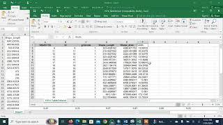 Sandbar Mapping and Monitoring Statistical results