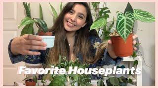 Favorite Houseplants January 2020