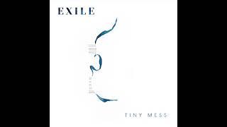 TINY MESS • Lullaby