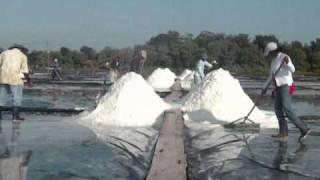 The Salt Harvest Process at Maya Natural Sea Salt Facility in Guatemala