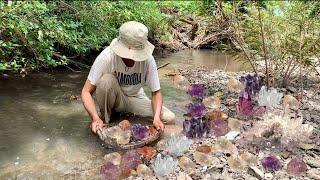 Find natural gemstone in river ,Amethyst crystal quartz part544