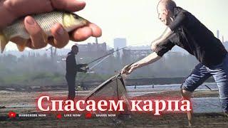 Край земли «КРАСНЮКА». Спасаем карпиков с западни. Запорожье 8 сент 24г.