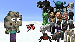 Insane Minecraft fight between swarmer vs all mobs #minecraft #gaming