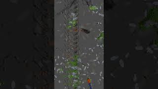 No.58 Minecraft World Layer by Layer | Repeating Caves Seed | Underground Smile #minecraft