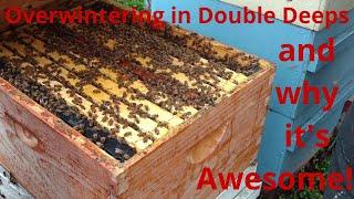 Double deep hives, why they are awesome, and why we don't need some new hive to save the bees.