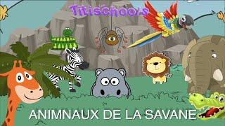 Animaux de la savane