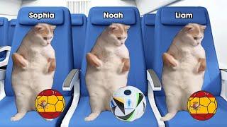 Cat Meme Family to football Euro 2024