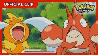 Torchic doesn't share food! | Pokémon: Advanced Challenge | Official Clip