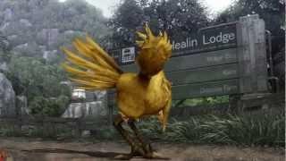 【MMD】chocobo fukkireta