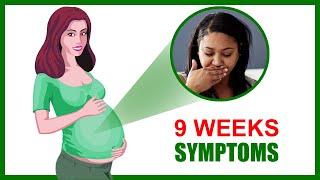9 Weeks Pregnant Symptoms – Baby Development and Baby Size in Womb
