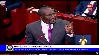 Sen. Aaron Cheruiyot CALLS for the DEMONETIZATION of political and gov't positions