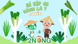 Bí kíp giúp hành lá tăng chiều cao | Trợ lý nông nghiệp 2 Nông